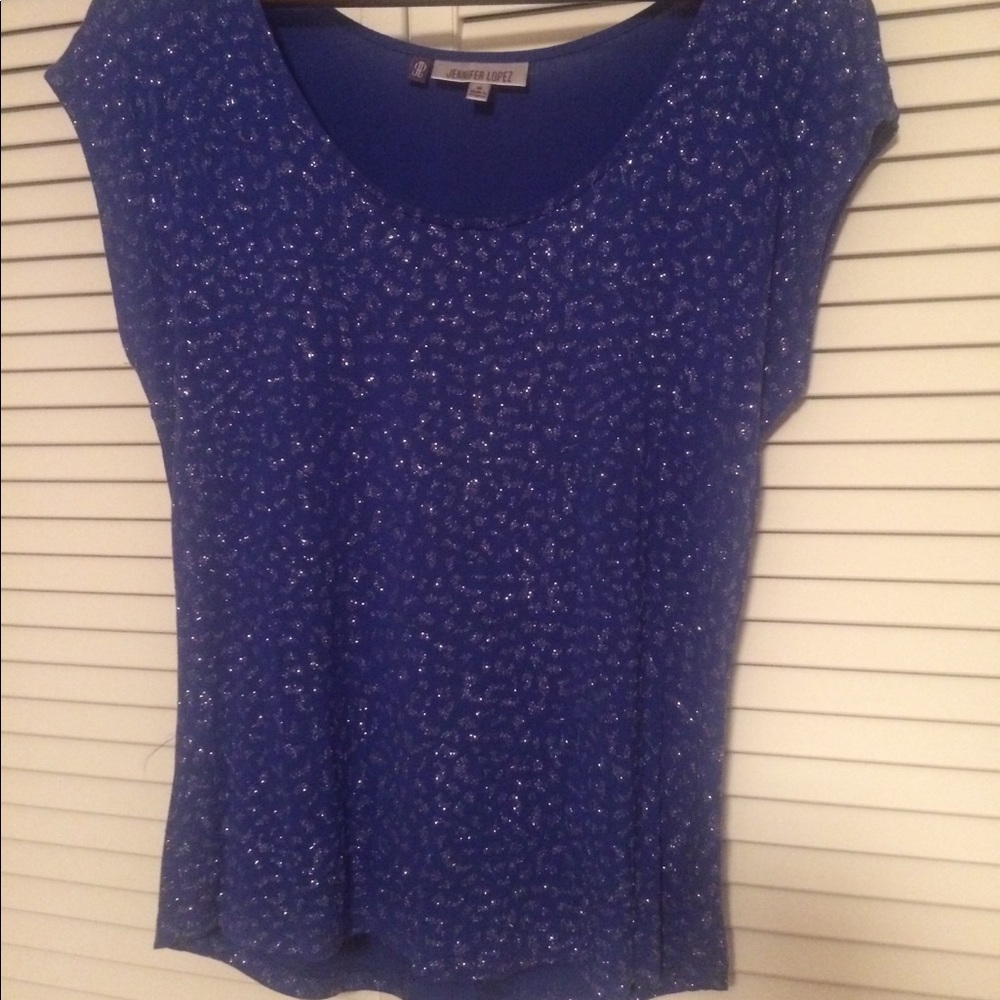 Sparkly Blue Top